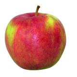 Äpfel Jonagold