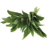 Bärlauch, ca. 100 g