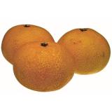 Satsuma