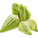 Spitzkraut