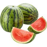 Wassermelone Mini
