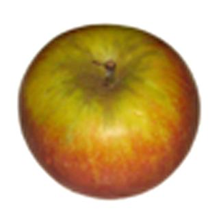 Äpfel Holsteiner Cox 3 kg Vorratstüte