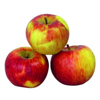 Äpfel der Woche (Mariella) Vorratstüte