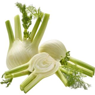 Fenchel
