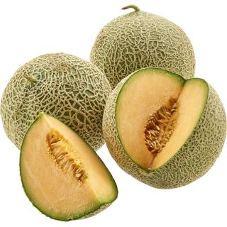Honigmelone Galia