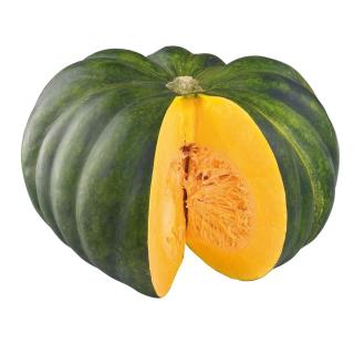 Kürbis Muscat de Provence dunkelgrün