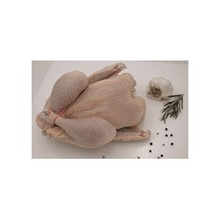 Hähnchen