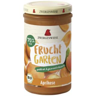 Aprikose FruchtGarten