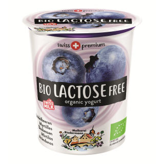 Lactosefreier Joghurt Heidelbeere