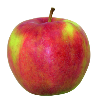 Äpfel Jonagold