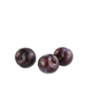 Pflaumen blau/rot