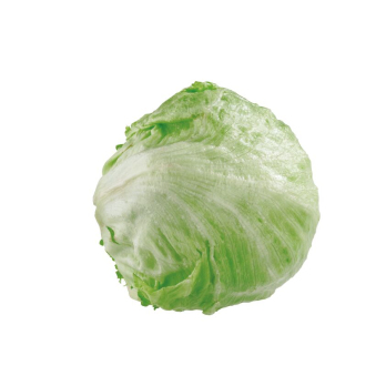 Salat Eisberg