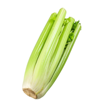 Stangensellerie