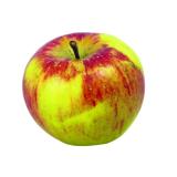Äpfel Topaz