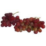 Trauben blau, kernlos