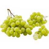 Trauben weiß, kernlos