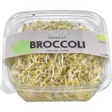 Broccolisprossen ca. 80 g