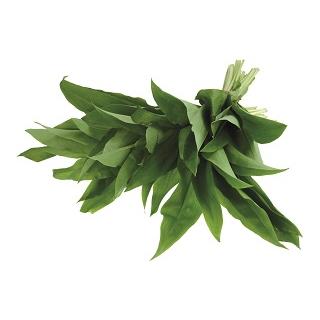 Bärlauch, ca. 100 g