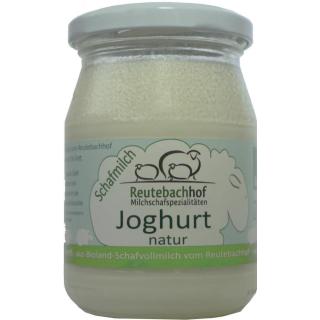 Schafjoghurt, VP 6 x 250 g Glas , 5,5%