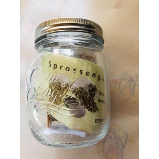 Sprossen-Glas