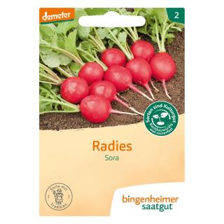 Saatgut Radieschen, Sora, 7 g