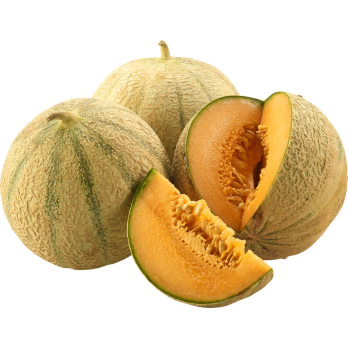 Honigmelone Charentais