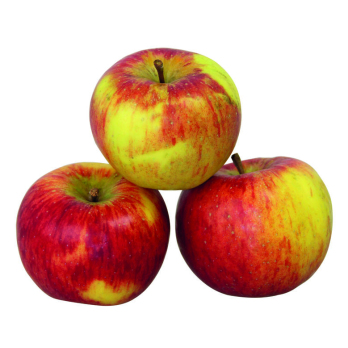 Äpfel der Woche (Deljonca) 3 kg Vorratstüte