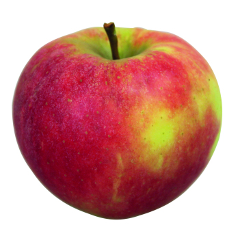 Äpfel Elstar