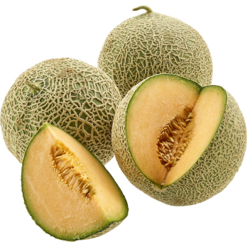 Honigmelone Galia