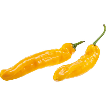 Paprika gelb