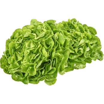 Salat der Woche