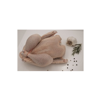 Hähnchen
