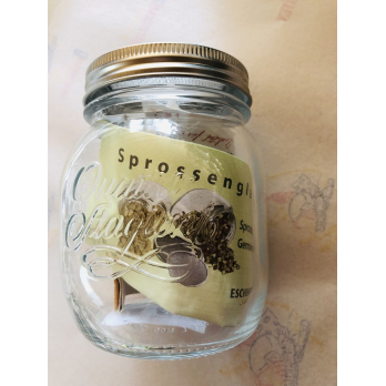 Sprossen-Glas